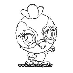 Aves #1105
