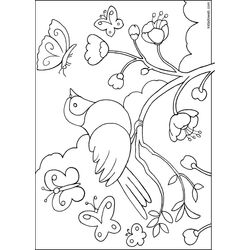 Aves #1108