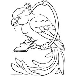 Aves #1109
