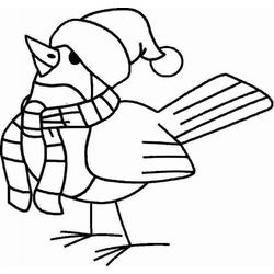 Aves #1117