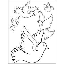 Aves #1118