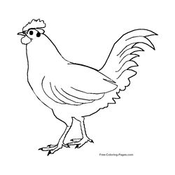 Aves #1119
