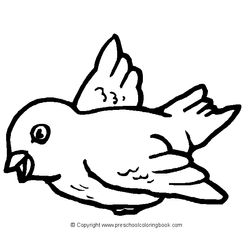 Aves #1123