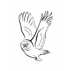 Aves #1127