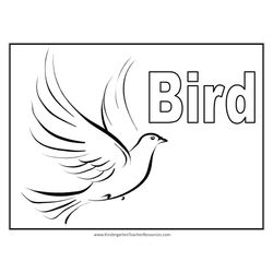Aves #1133