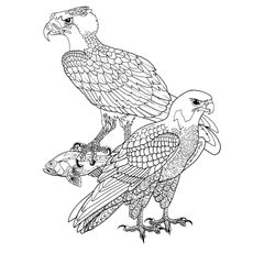Aves #1140