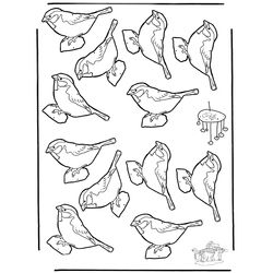 Aves #1142