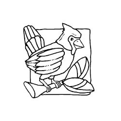 Aves #1146