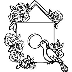 Aves #1160