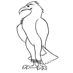 Aves #1161