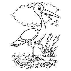 Aves #1163
