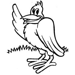 Aves #1174
