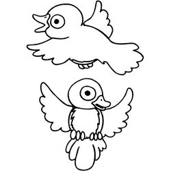 Aves #1186