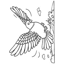 Aves #1193