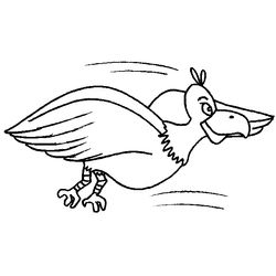 Aves #1195