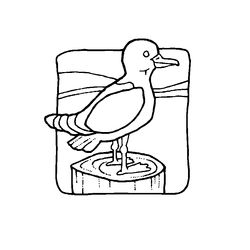 Aves #1210