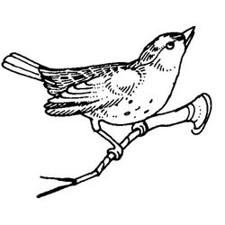 Aves #1219