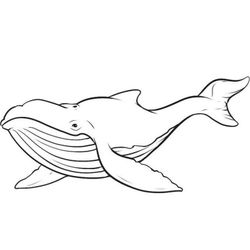 Ballena #1258