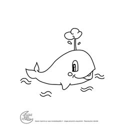 Ballena #1261