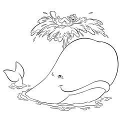 Ballena #1266