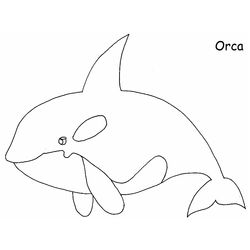 Ballena #1268