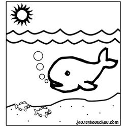 Ballena #1269