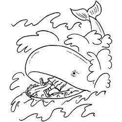 Ballena #1273