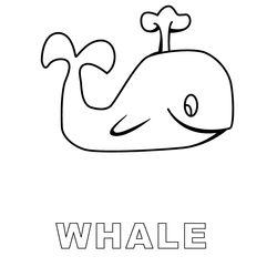 Ballena #1275