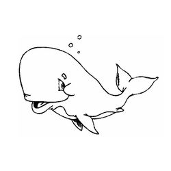 Ballena #1276