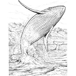Ballena #1287