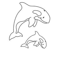 Ballena #1299