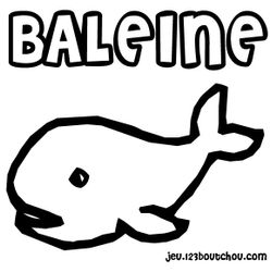 Ballena #1300