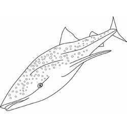 Ballena #1302