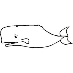 Ballena #1307