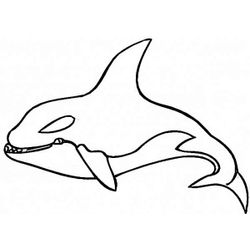 Ballena #1309