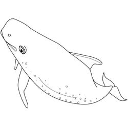 Ballena #1312