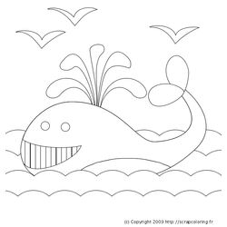 Ballena #1316