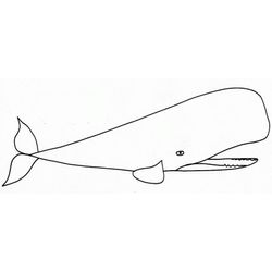 Ballena #1319