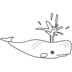Ballena #1323