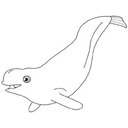 Beluga #1330