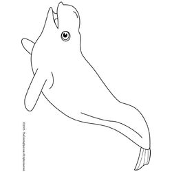 Beluga #1334