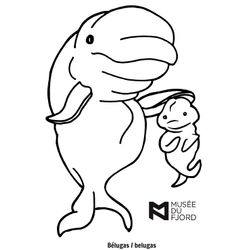 Beluga #1336