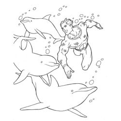 Beluga #1339