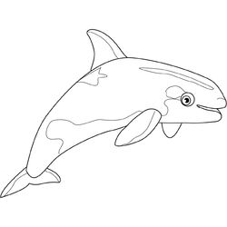 Beluga #1340