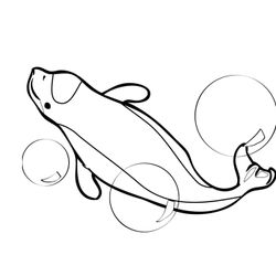 Beluga #1343