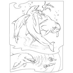 Beluga #1346