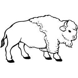 Bisonte #1350