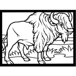 Bisonte #1353