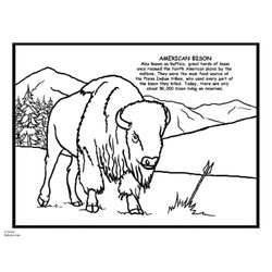 Bisonte #1354