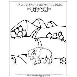 Bisonte #1362